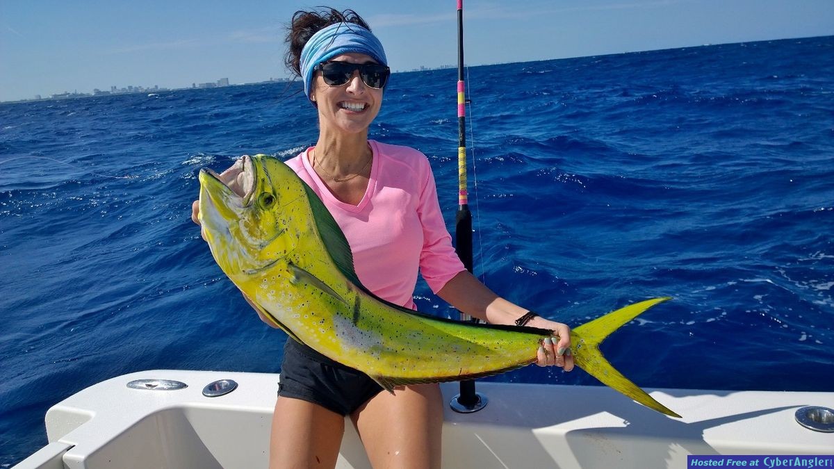 Click to Enlarge Photo