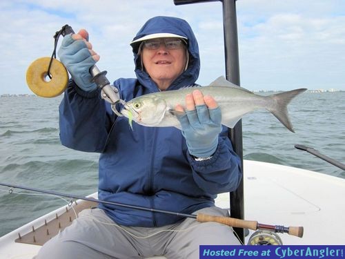 Gary Marple Sarasota Bay Ultra Hair Clouser fly bluefish