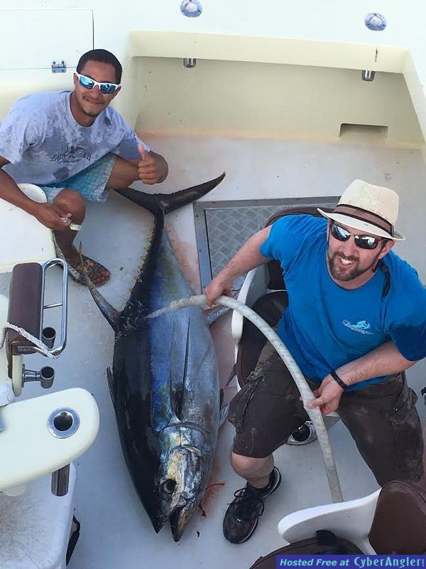 Yellowfin