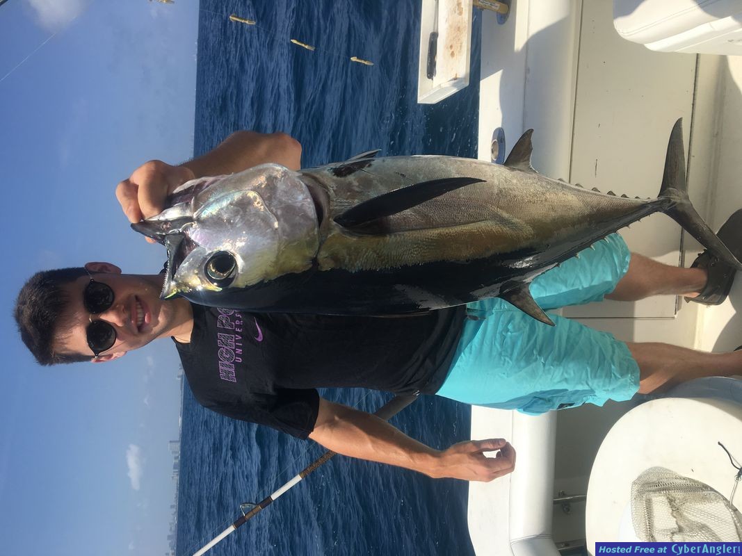 Blackfin tuna fishing