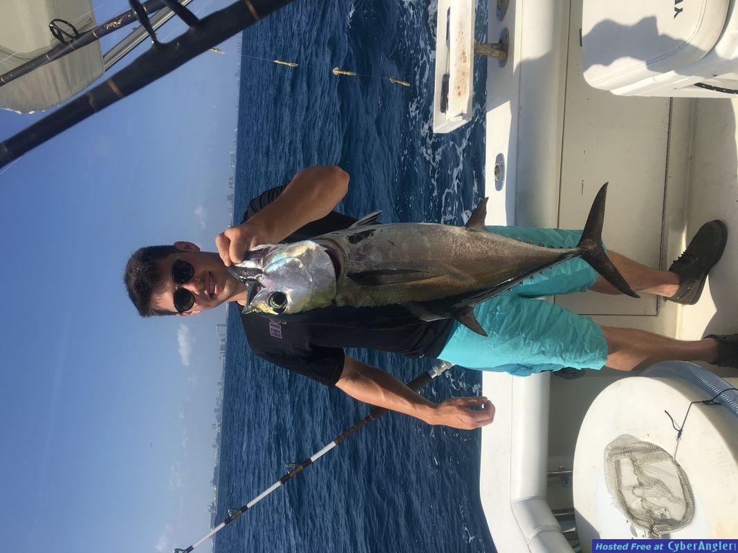 blackfin tuna