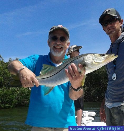 snook on topwater
