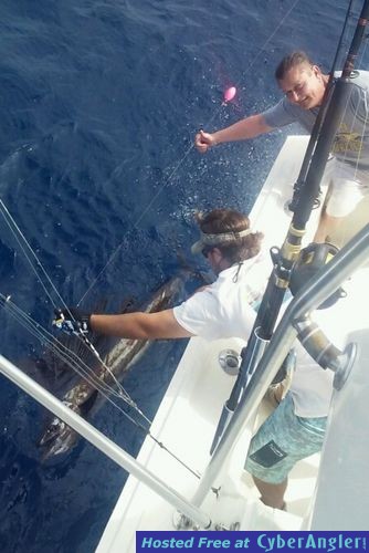 Fort Lauderdale sport fishing charter report