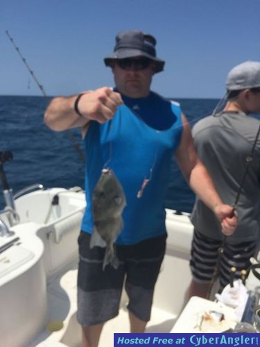 Click to Enlarge Photo