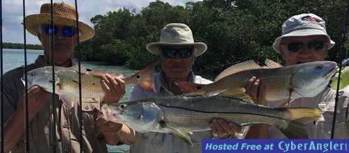 Click to Enlarge Photo