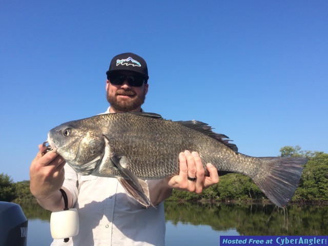 Black Drum