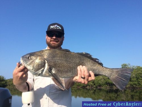 Black Drum