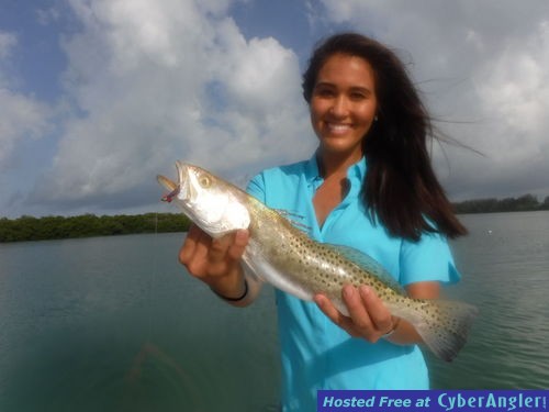 Click to Enlarge Photo