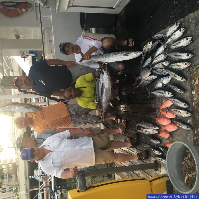 Black grouper