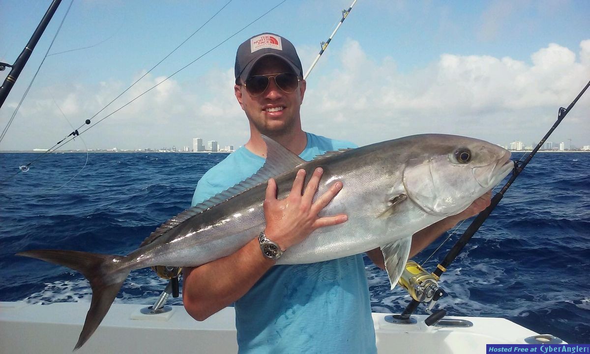 Amberjack