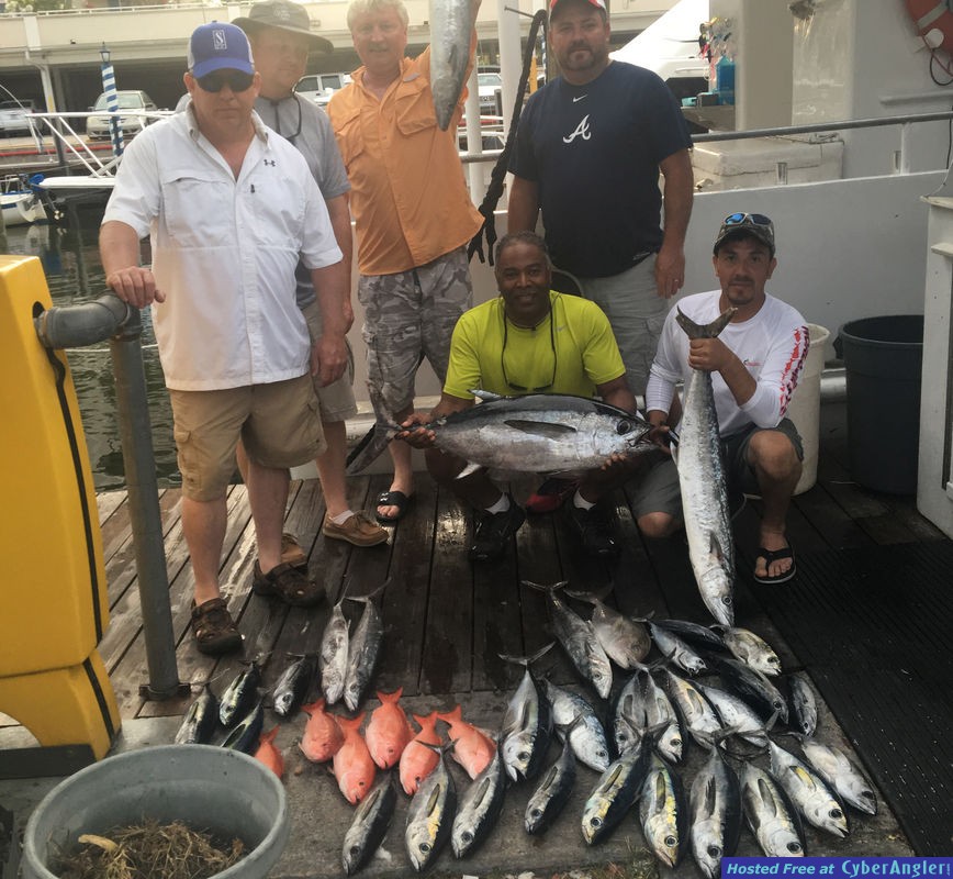 Tuna Catch
