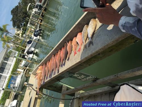 Fort Myers, and Naples Fishing Charters