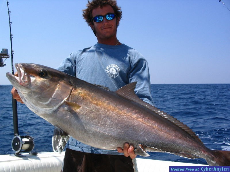 Amberjack - Another FishHead with a Nice AJ