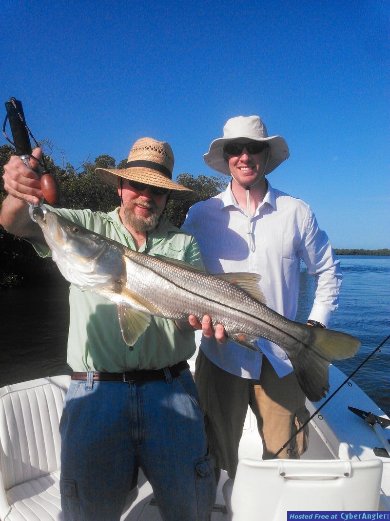 Nice Rookery Bay Snook