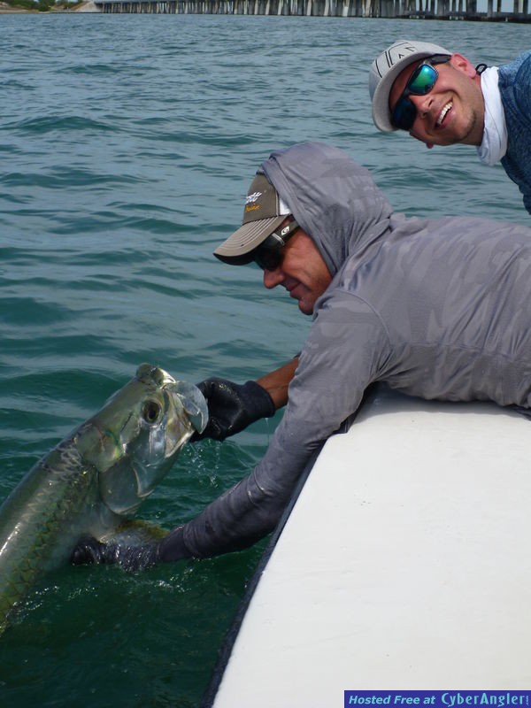 another tarpon