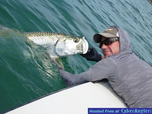 Tampa tarpon fishing