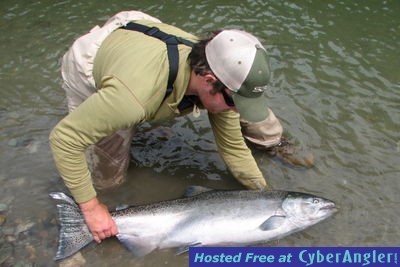Fly Fishing for Chinook (King) Salmon and Steelhead on the same day!