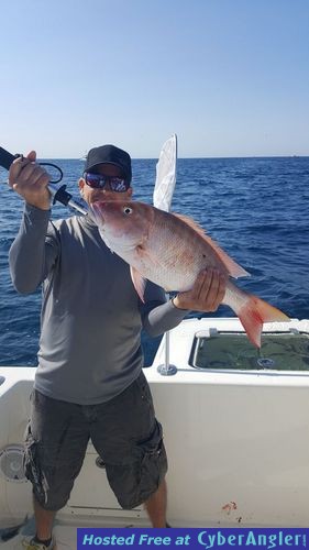 Click to Enlarge Photo