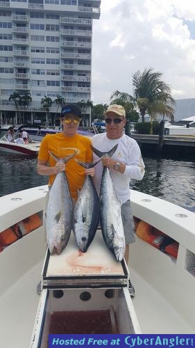 Click to Enlarge Photo