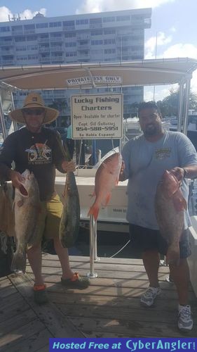 Click to Enlarge Photo