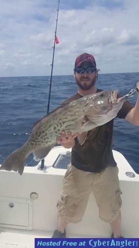 Click to Enlarge Photo