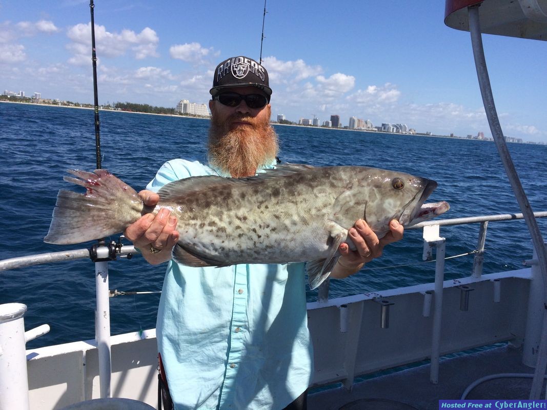 gag grouper drift fishing