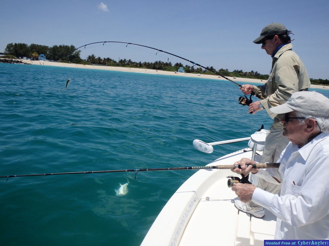 Click to Enlarge Photo