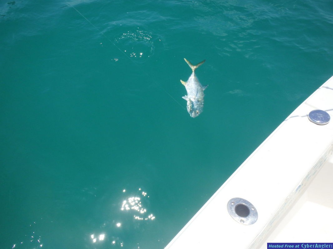 Click to Enlarge Photo