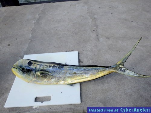 Click to Enlarge Photo