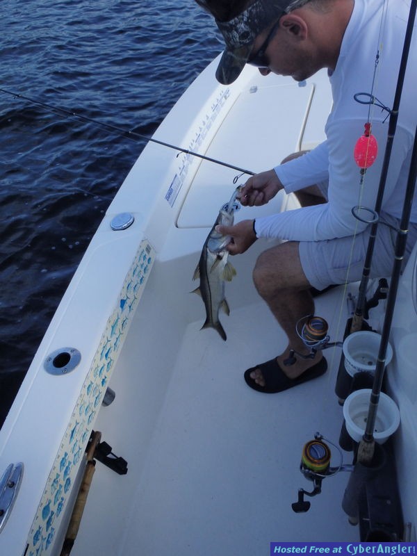 Click to Enlarge Photo