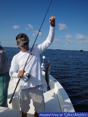 Click to Enlarge Photo