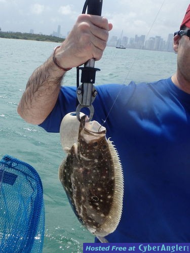 Flounder14