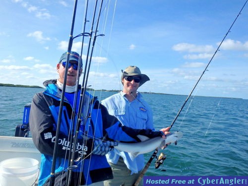 Matt_n_bonnethead_shark