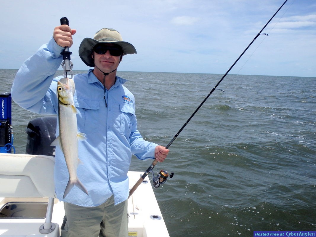 Click to Enlarge Photo