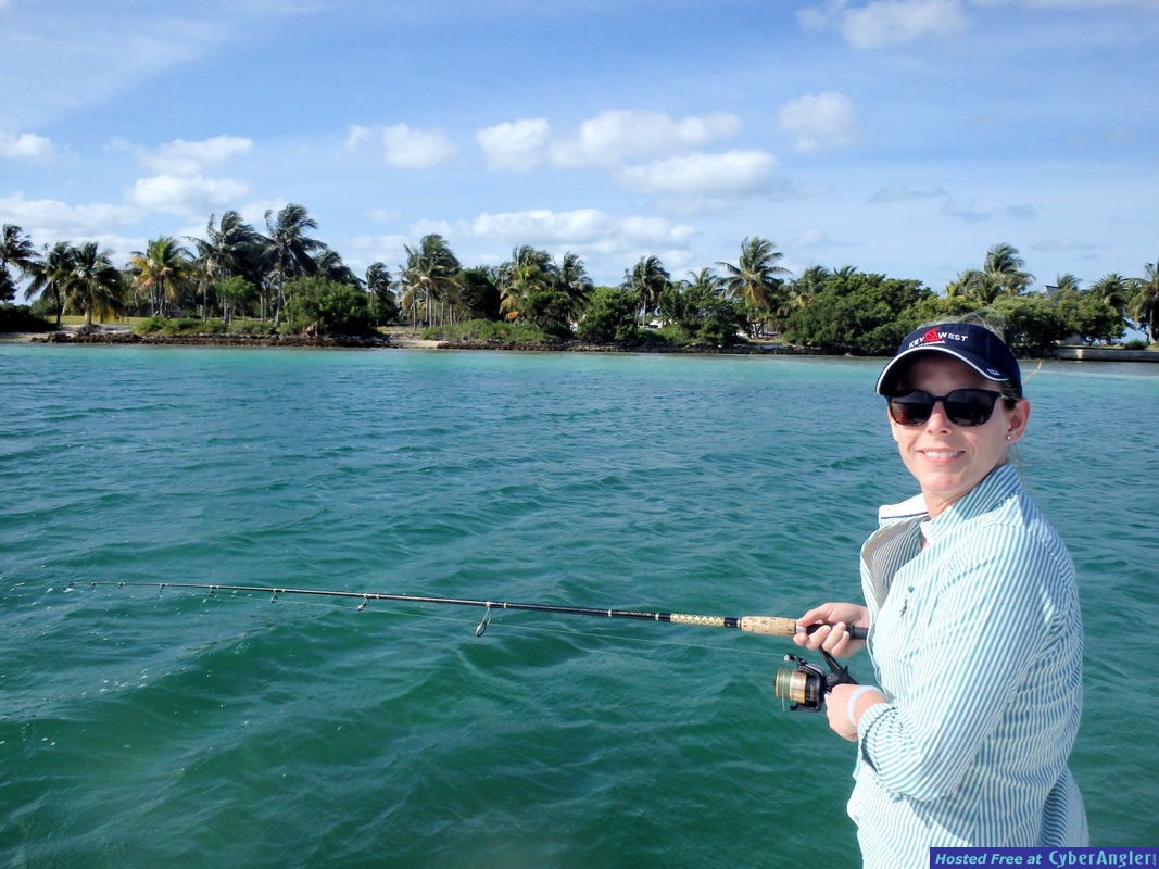 Click to Enlarge Photo