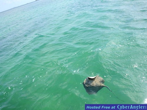 Click to Enlarge Photo