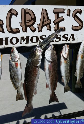 Fishing Homosassa, FL