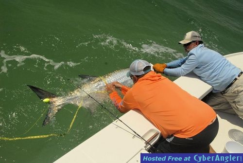 Cliff Ondercin measures a tarpon before release that was caught and release