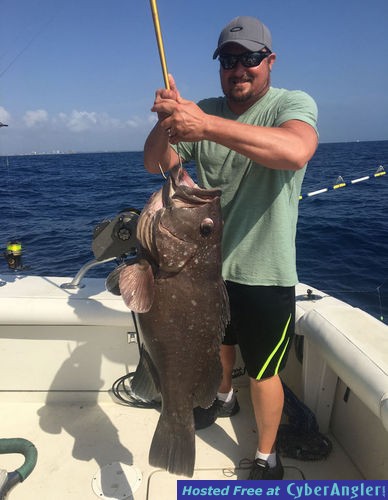 Click to Enlarge Photo