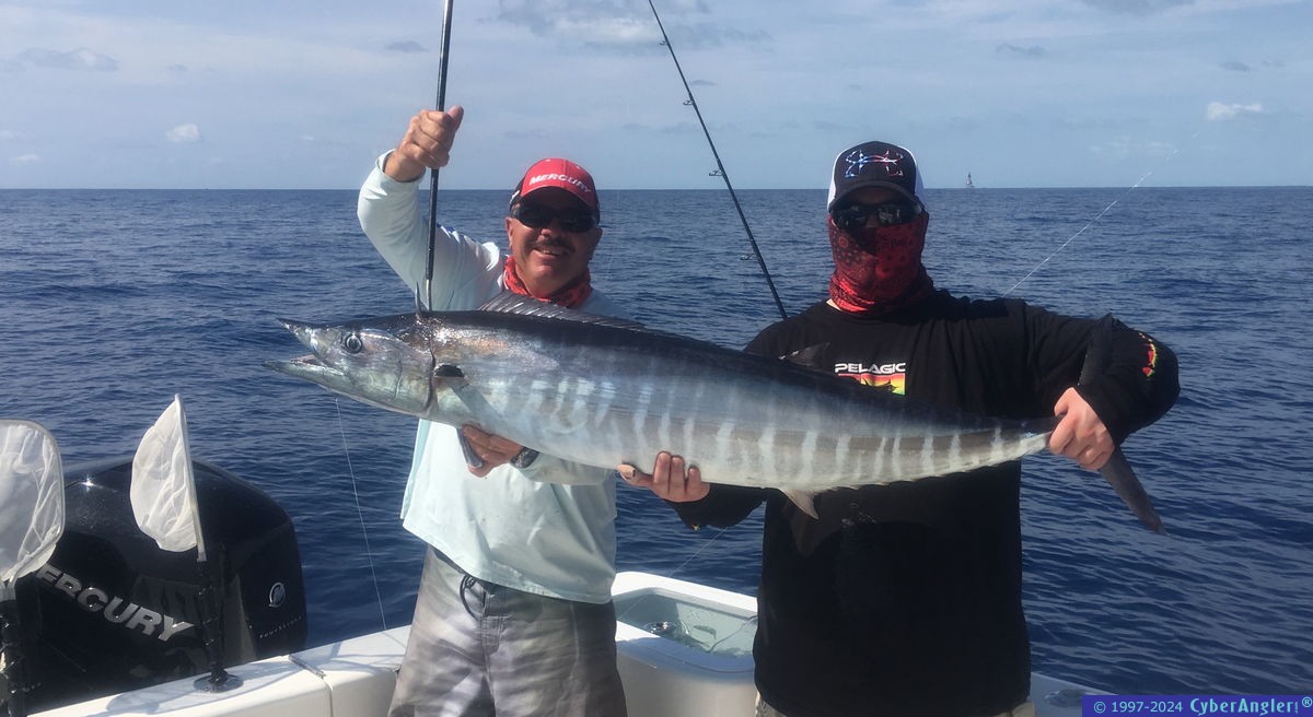 wahoo_trim