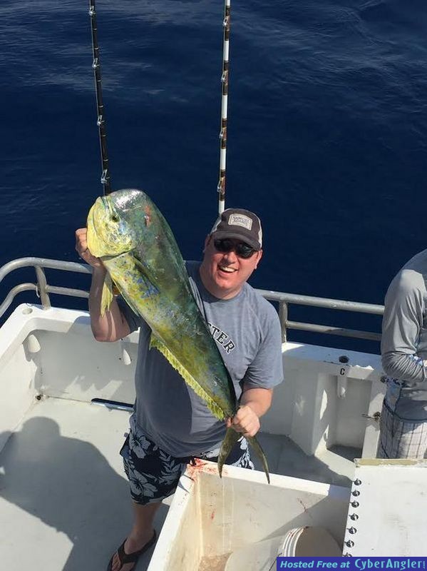 Mahi Mahi