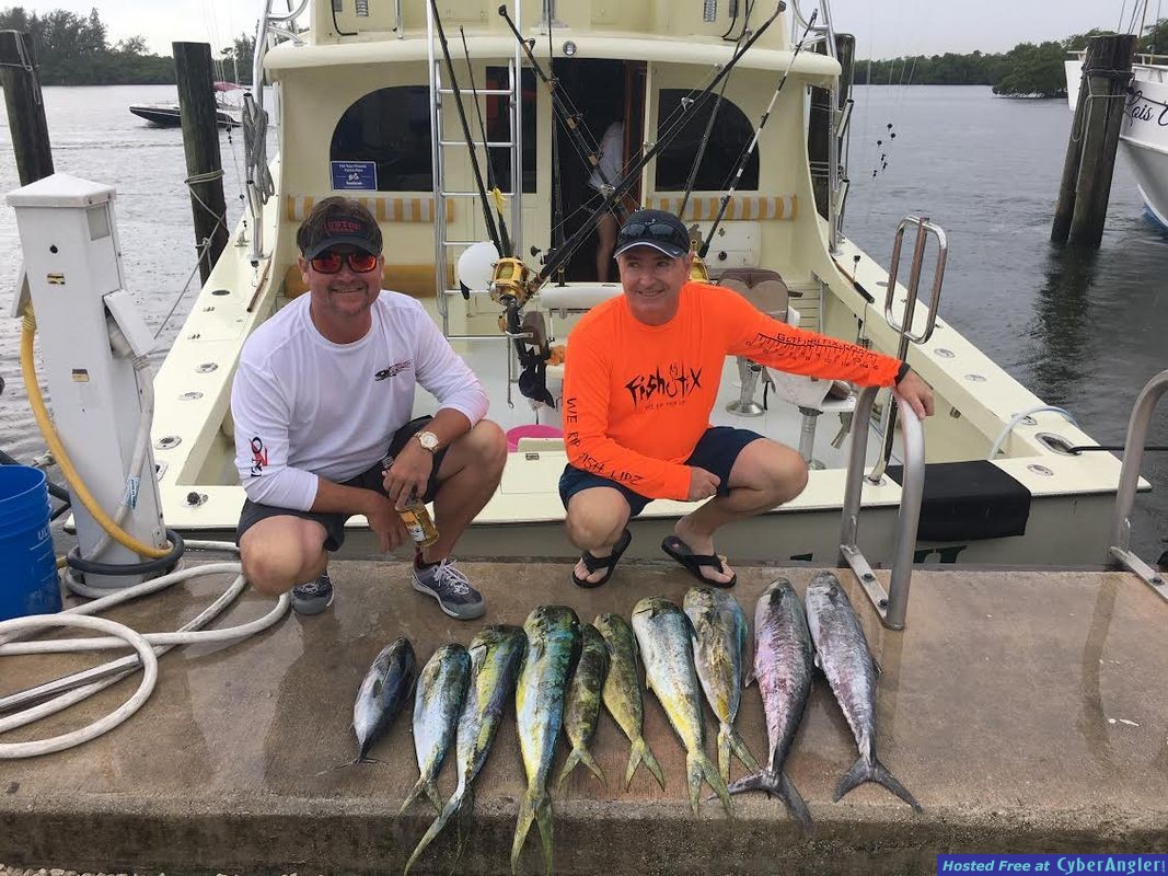 Mahi Mahi