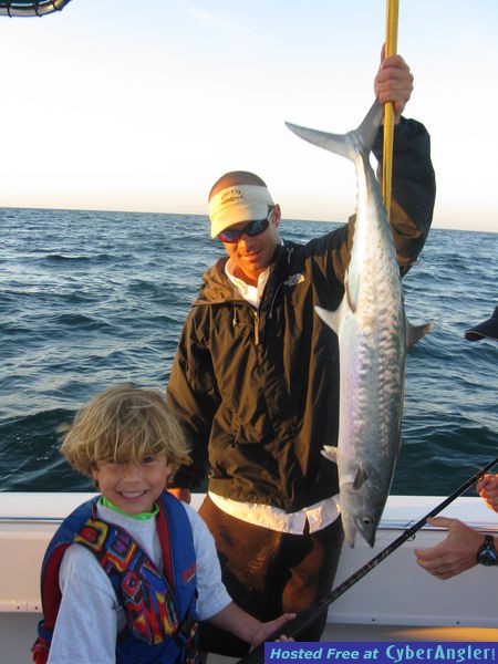 kingfish