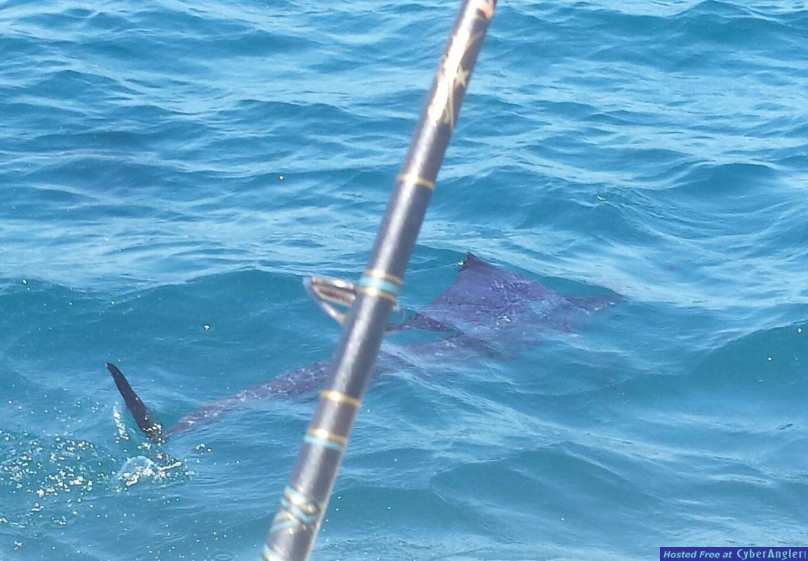 Fort Lauderdale fishing report