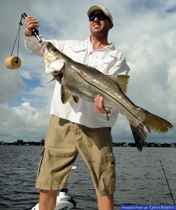 Snook