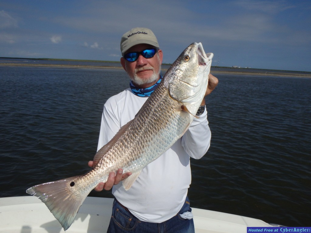 Red Fish