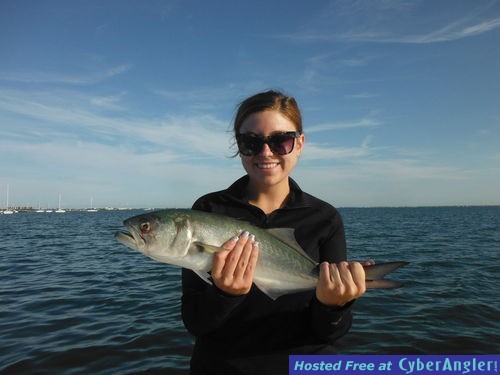 Click to Enlarge Photo