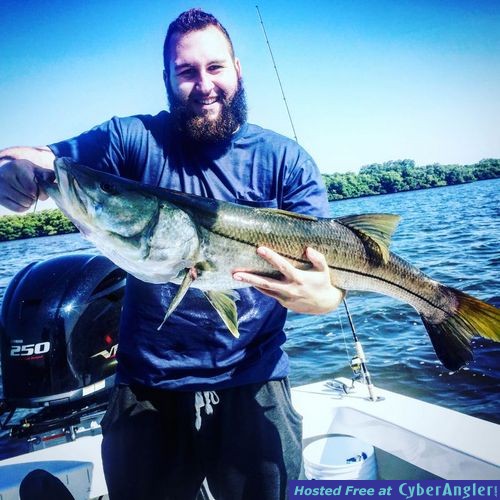 Anna Maria Island Snook