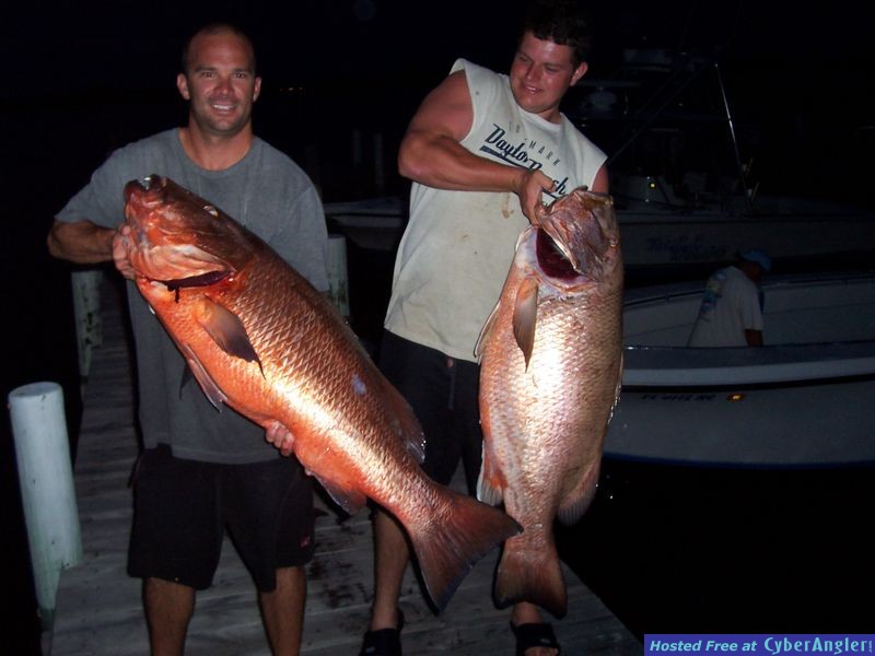 Cubera snapper