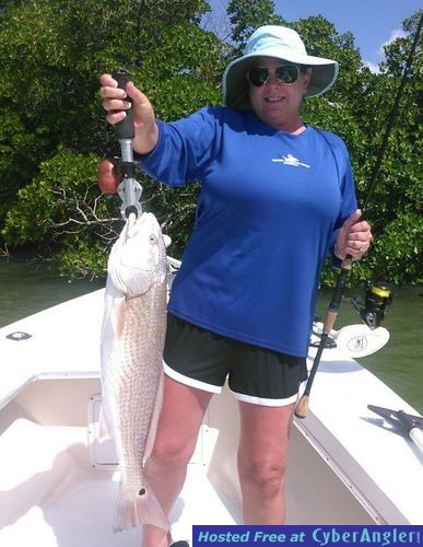 Click to Enlarge Photo